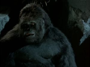 Great Ape (Peter Elliott)
