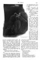 Thumbnail for version as of 16:46, 20 October 2024