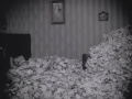 Thumbnail for version as of 00:46, 15 May 2016
