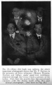 Thumbnail for version as of 19:02, 17 April 2016