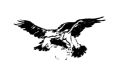 Thumbnail for version as of 22:34, 12 March 2024