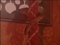 Thumbnail for version as of 10:05, 9 May 2013