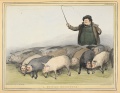 Thumbnail for version as of 15:40, 21 August 2016