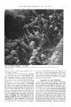 Thumbnail for version as of 20:29, 15 March 2018
