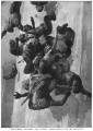Thumbnail for version as of 13:10, 7 March 2013