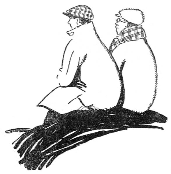 File:Le-petit-journal-illlustre-1922-01-01-p8-illu1.jpg