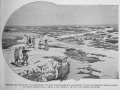 Thumbnail for version as of 02:40, 29 December 2016