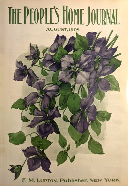 File:The-people-s-home-journal-1905-08.jpg