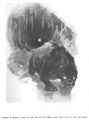 Thumbnail for version as of 16:24, 1 March 2013