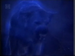 The Hound