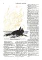 Thumbnail for version as of 01:01, 21 January 2021