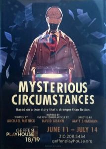Mysterious Circumstances (11 june - 21 july 2019)