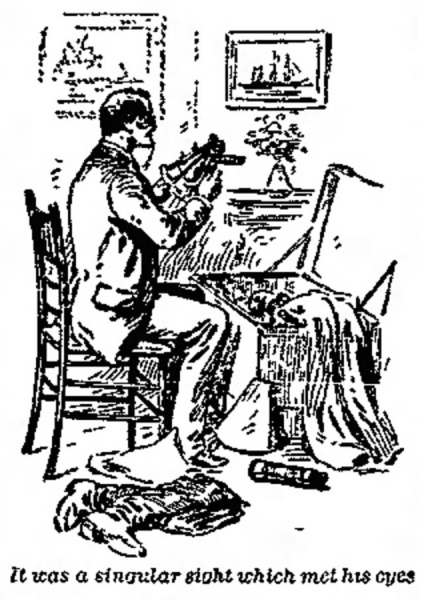 File:The-portsmouth-times-ohio-1894-01-20-p6-beyond-the-city-02.jpg
