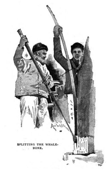 File:The-idler-1892-07-p632-the-glamour-of-the-arctic-illu.jpg