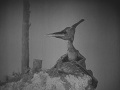 Thumbnail for version as of 12:19, 11 July 2015