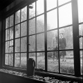 Thumbnail for version as of 10:53, 19 June 2017