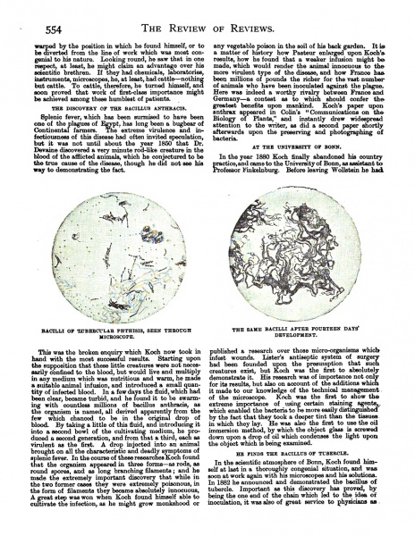 File:The-review-of-reviews-1890-12-dr-koch-and-his-cure-p554.jpg