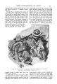 Thumbnail for version as of 22:36, 21 August 2024
