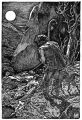 Thumbnail for version as of 01:39, 10 January 2021