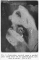 Thumbnail for version as of 16:32, 8 January 2017