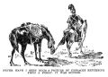 Thumbnail for version as of 01:20, 10 November 2024