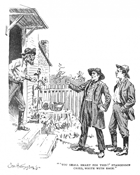 File:Ward-lock-bowden-1896-stud-p161-illus.jpg