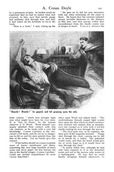 File:The-strand-magazine-1926-12-the-lion-s-mane-p549.jpg