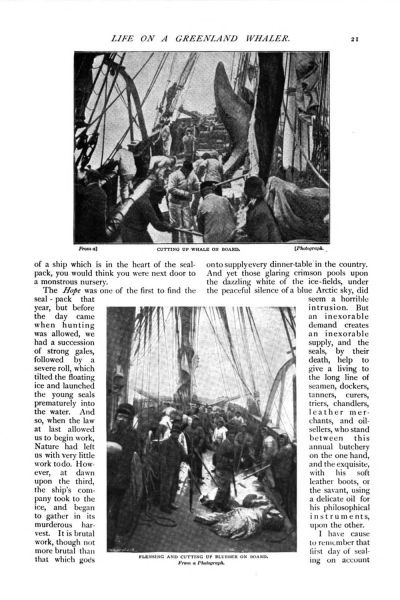 File:The-strand-magazine-1897-01-p21-life-on-a-greenland-whaler.jpg