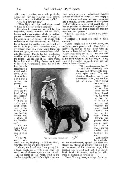 File:The-strand-magazine-1898-12-the-story-of-the-brazilian-cat-p606.jpg