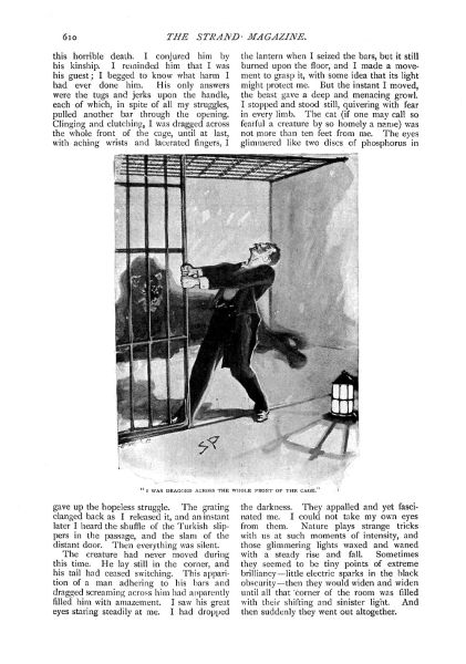 File:The-strand-magazine-1898-12-the-story-of-the-brazilian-cat-p610.jpg