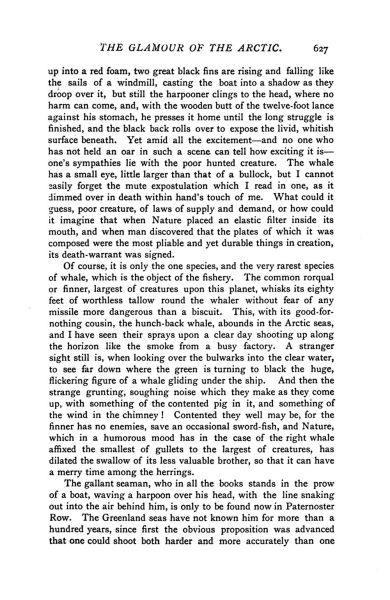 File:The-idler-1892-07-p627-the-glamour-of-the-arctic.jpg