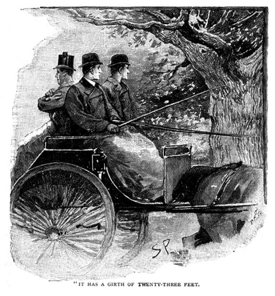 File:The-strand-magazine-1893-05-the-musgrave-ritual-p485-illu.jpg