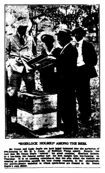 File:The-daily-mail-brisbane-1921-01-15-p7-sh-among-the-bees.jpg