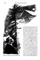 Thumbnail for version as of 18:03, 12 October 2024