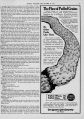 Thumbnail for version as of 12:46, 26 October 2024