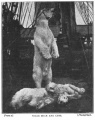 Thumbnail for version as of 21:39, 9 February 2013
