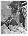 Thumbnail for version as of 18:25, 17 October 2025