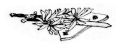 Thumbnail for version as of 22:34, 12 March 2024