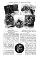 Thumbnail for version as of 23:40, 12 October 2024