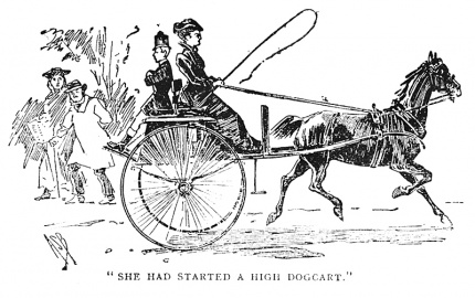 "She had started a high dogcart."