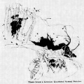 Thumbnail for version as of 14:32, 23 August 2015