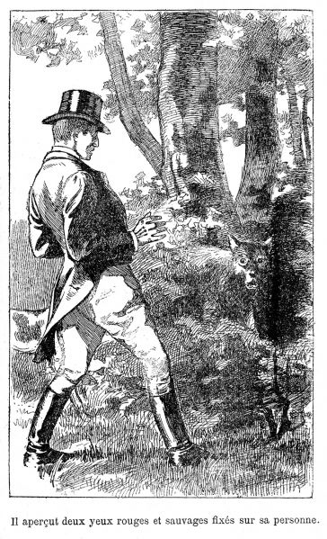 File:Sep-1906-n26-le-roi-des-renards-p25-illu.jpg
