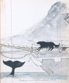 Thumbnail for version as of 19:45, 1 May 2018