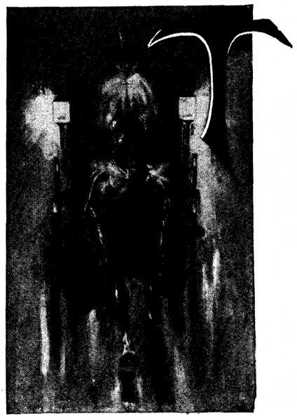 File:The-windsor-magazine-1898-12-a-shadow-before-p48-illu.jpg