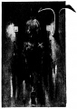 Thumbnail for version as of 15:15, 21 September 2018