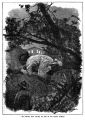 Thumbnail for version as of 14:09, 1 April 2024