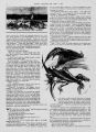 Thumbnail for version as of 22:10, 21 October 2024
