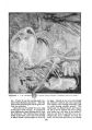 Thumbnail for version as of 14:13, 15 November 2024