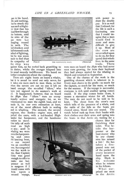 File:The-strand-magazine-1897-01-p19-life-on-a-greenland-whaler.jpg