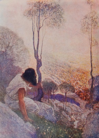 "All day, held spell-bound by this wonderful sight, the hermit crouched in the shadow of the rocks." Frontispiece by N. C. Wyeth (Doubleday, Page & Co., 1911)